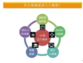 金准数据最新研究揭示 人工智能应用软件开发驱动行业纵深发展